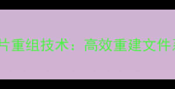 数据恢复底层碎片重组技术高效重建文件系统的完整指南