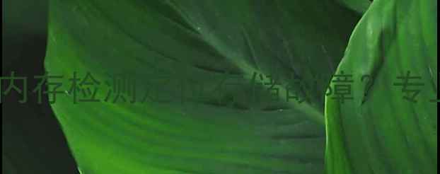 数据恢复必看如何通过内存检测定位存储故障专业诊断工具与操作指南全