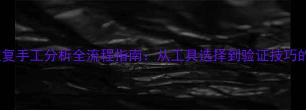 数据恢复手工分析全流程指南从工具选择到验证技巧的完整