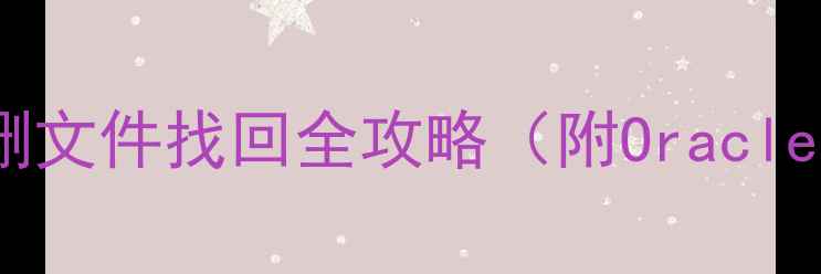 图片 数据恢复技巧｜误删文件找回全攻略（附Oracle数据库恢复指南）1