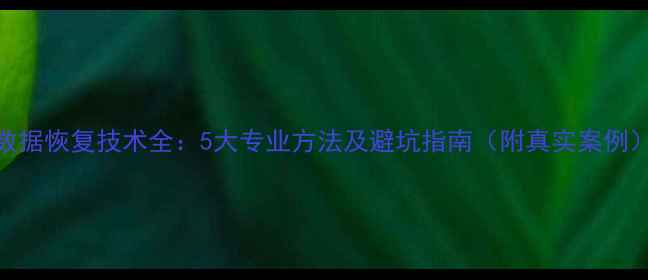 图片 数据恢复技术全：5大专业方法及避坑指南（附真实案例）