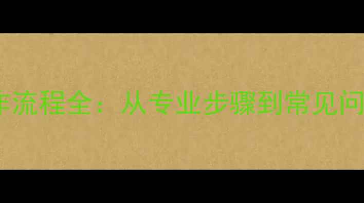 数据恢复操作流程全从专业步骤到常见问题应对指南