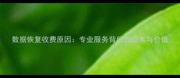 数据恢复收费原因专业服务背后的成本与价值