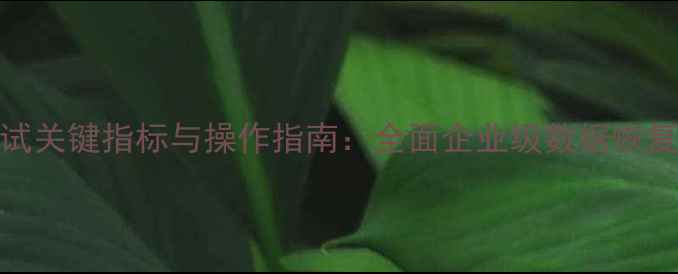 数据恢复效果测试关键指标与操作指南全面企业级数据恢复方案有效性评估