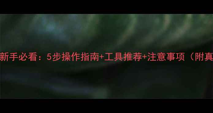 图片 数据恢复新手必看：5步操作指南+工具推荐+注意事项（附真实案例）