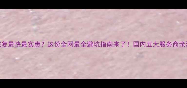 图片 数据恢复最快最实惠？这份全网最全避坑指南来了！国内五大服务商亲测对比
