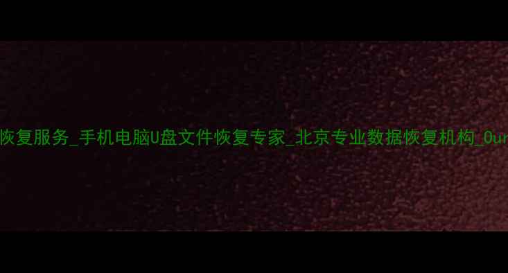 图片 数据恢复服务_手机电脑U盘文件恢复专家_北京专业数据恢复机构_Ourpaly