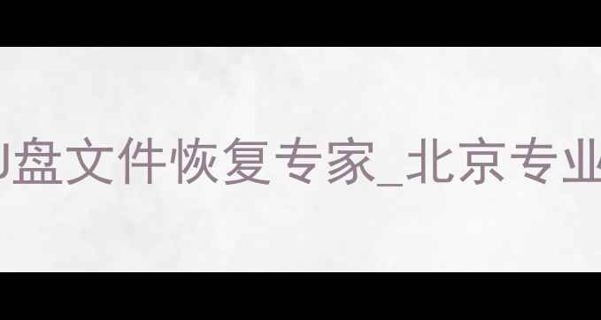 图片 数据恢复服务_手机电脑U盘文件恢复专家_北京专业数据恢复机构_Ourpaly1