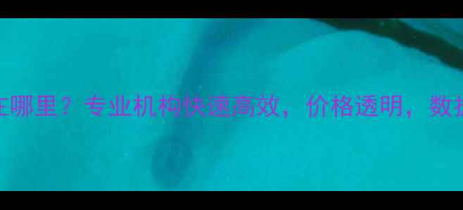 图片 数据恢复服务在哪里？专业机构快速高效，价格透明，数据安全有保障！
