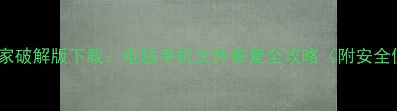 数据恢复管家破解版下载电脑手机文件恢复全攻略附安全使用指南