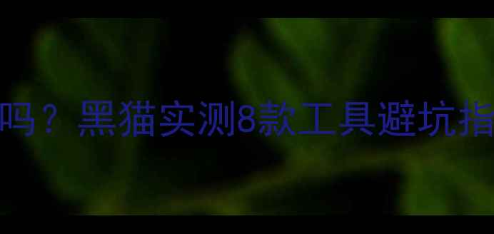 图片 数据恢复精灵可靠吗？黑猫实测8款工具避坑指南（附完整教程）