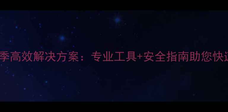 图片 数据恢复精灵夏季高效解决方案：专业工具+安全指南助您快速找回珍贵数据1