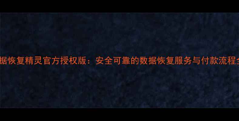 图片 数据恢复精灵官方授权版：安全可靠的数据恢复服务与付款流程全1