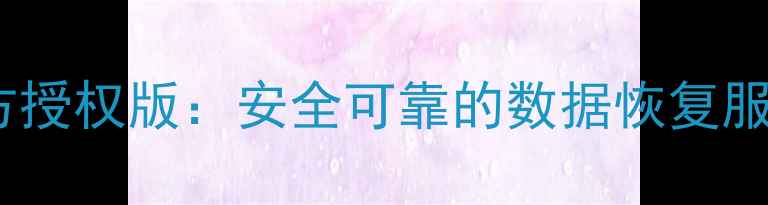 图片 数据恢复精灵官方授权版：安全可靠的数据恢复服务与付款流程全2