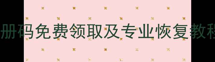 图片 数据恢复精灵最新版注册码免费领取及专业恢复教程（附详细操作指南）1