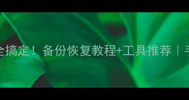 图片 数据恢复精灵电脑手机文件全搞定！备份恢复教程+工具推荐｜手把手教你3步找回丢失数据1