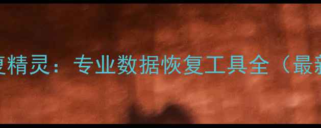 数据恢复精灵专业数据恢复工具全最新指南