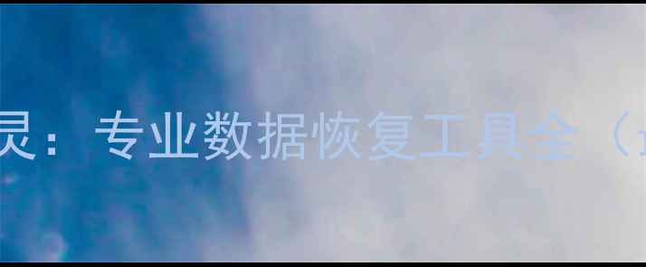 图片 数据恢复精灵：专业数据恢复工具全（最新指南）1