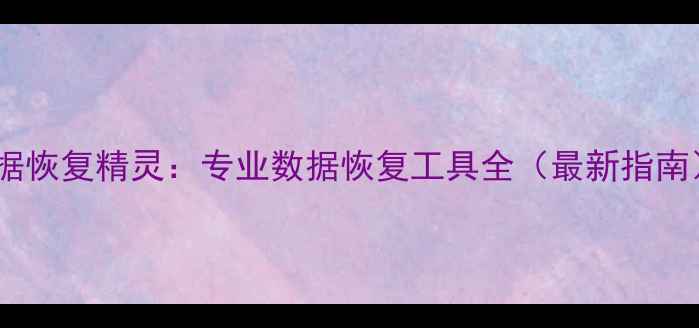 图片 数据恢复精灵：专业数据恢复工具全（最新指南）2