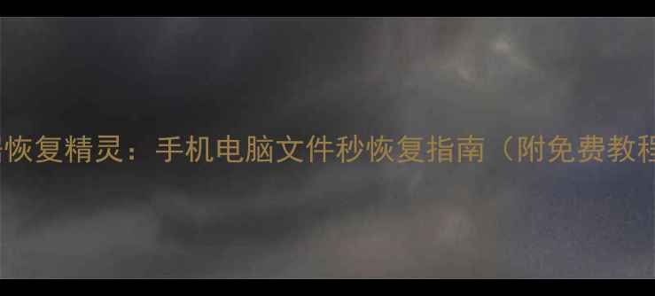 图片 数据恢复精灵：手机电脑文件秒恢复指南（附免费教程）2