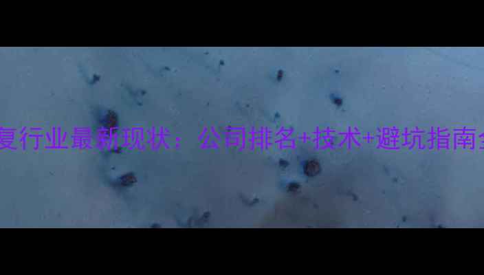 数据恢复行业最新现状公司排名技术避坑指南全攻略