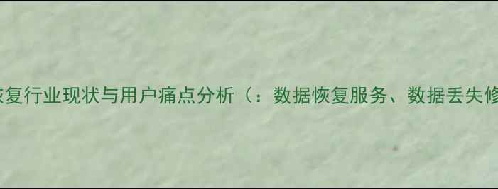 图片 数据恢复行业现状与用户痛点分析（：数据恢复服务、数据丢失修复）1