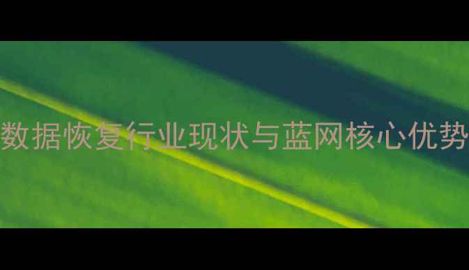 数据恢复行业现状与蓝网核心优势
