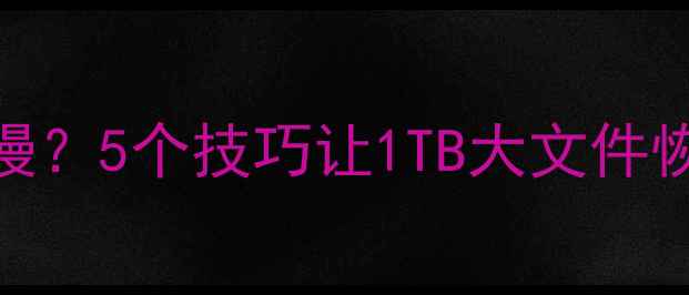 图片 数据恢复速度慢？5个技巧让1TB大文件恢复快3倍！✨1