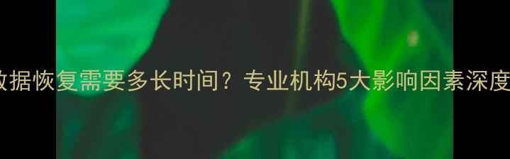 图片 数据恢复需要多长时间？专业机构5大影响因素深度1