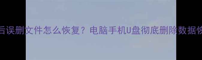 图片 数据清理后误删文件怎么恢复？电脑手机U盘彻底删除数据恢复全攻略