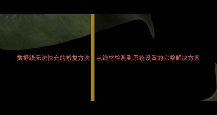 图片 数据线无法快充的修复方法：从线材检测到系统设置的完整解决方案