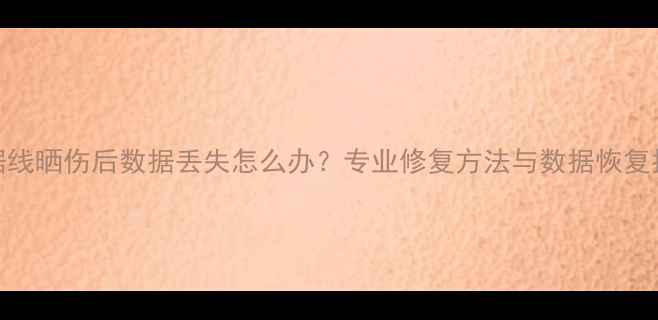 图片 数据线晒伤后数据丢失怎么办？专业修复方法与数据恢复指南