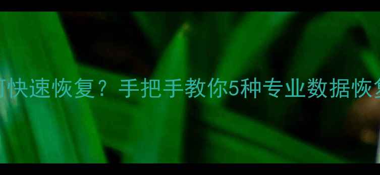图片 数据表删除后如何快速恢复？手把手教你5种专业数据恢复方法及必备工具