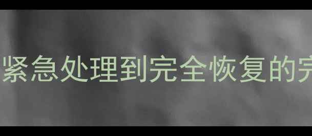 图片 数据限流恢复时间表｜从紧急处理到完全恢复的完整指南（附操作步骤）2