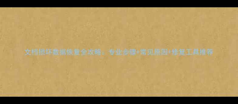 图片 文档损坏数据恢复全攻略：专业步骤+常见原因+修复工具推荐