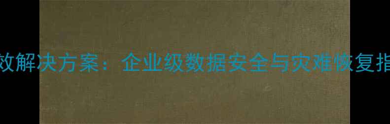 图片 新中大财务数据恢复高效解决方案：企业级数据安全与灾难恢复指南（附详细操作步骤）