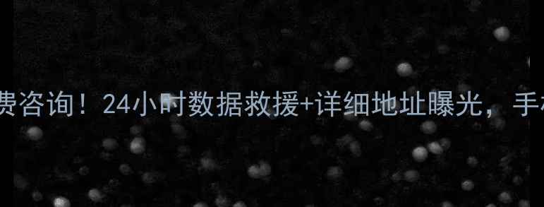 新县数据恢复中心免费咨询24小时数据救援详细地址曝光手机电脑文件秒复原