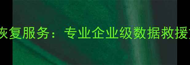 新建区服务器数据恢复服务专业企业级数据救援方案电话-X