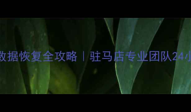 新蔡县手机数据恢复全攻略驻马店专业团队24小时应急服务
