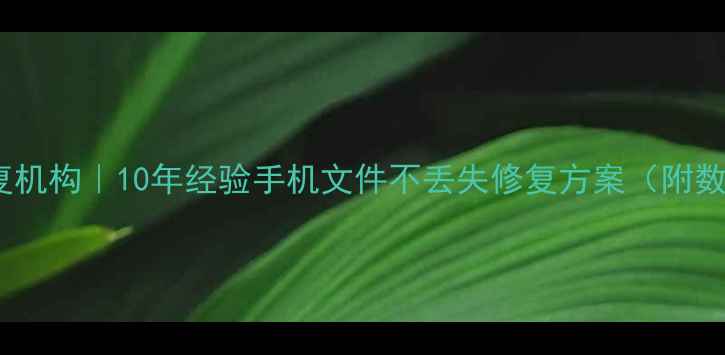 图片 方城专业手机数据恢复机构｜10年经验手机文件不丢失修复方案（附数据恢复全流程指南）2