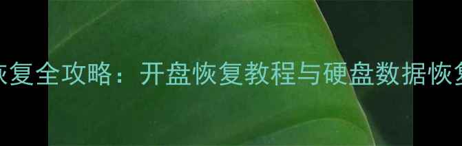 无盘数据恢复全攻略开盘恢复教程与硬盘数据恢复步骤详解