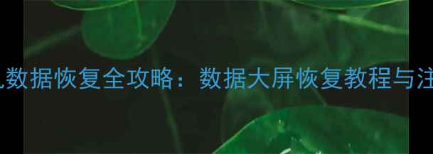 旧款手机数据恢复全攻略数据大屏恢复教程与注意事项