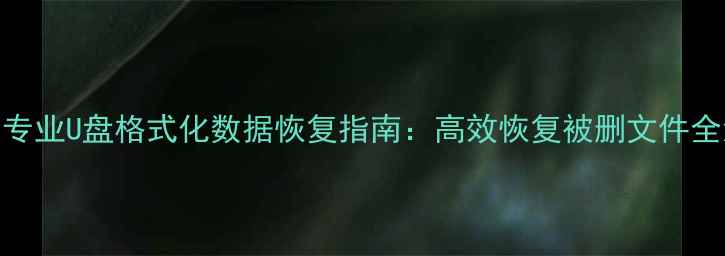 图片 昆明专业U盘格式化数据恢复指南：高效恢复被删文件全流程