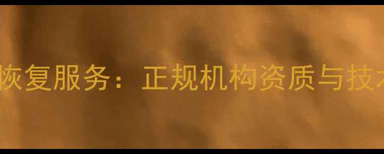 图片 易极数据恢复服务：正规机构资质与技术实力全2