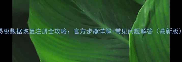 易极数据恢复注册全攻略官方步骤详解常见问题解答最新版