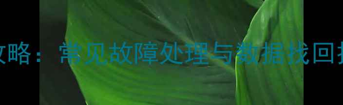 图片 显示屏数据恢复全攻略：常见故障处理与数据找回技巧（附详细步骤）