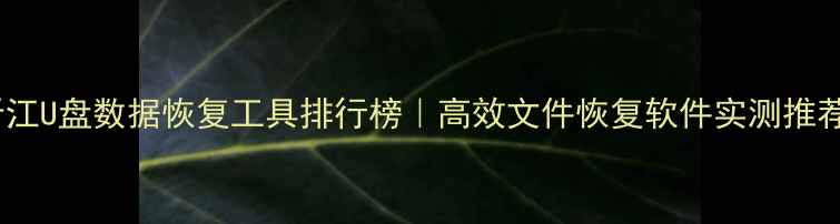 图片 晋江U盘数据恢复工具排行榜｜高效文件恢复软件实测推荐1