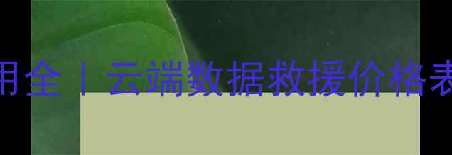 图片 景德镇数据恢复费用全｜云端数据救援价格表+专业服务商推荐1