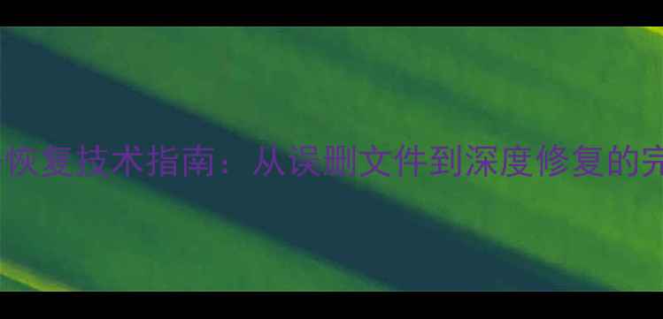 最全SD卡数据恢复技术指南从误删文件到深度修复的完整解决方案