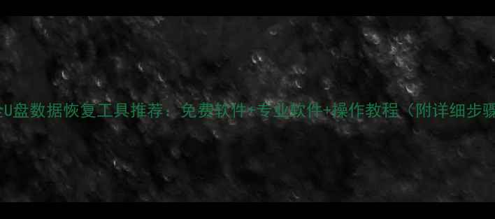 图片 最全U盘数据恢复工具推荐：免费软件+专业软件+操作教程（附详细步骤）2